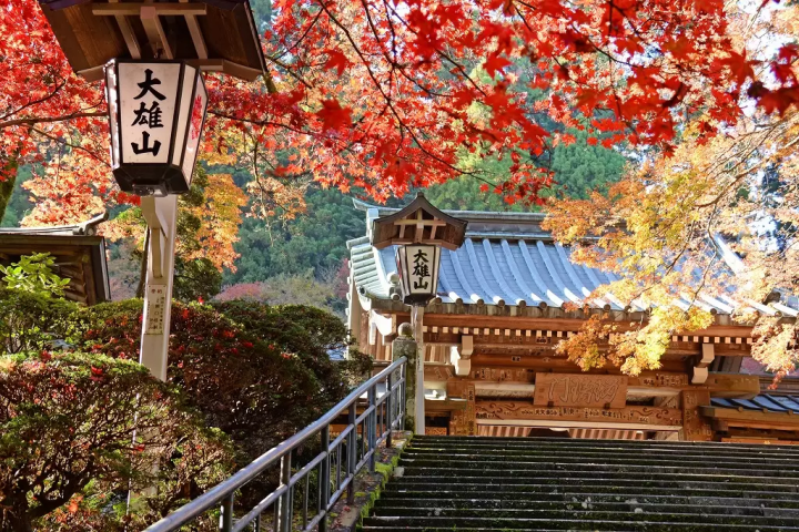 Hakone: Top 10 Fall Foliage Spots