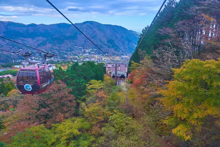 Hakone: Top 10 Fall Foliage Spots