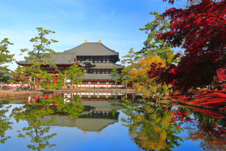 12 Spots that Show Off Nara's Fabulous Fall Foliage 