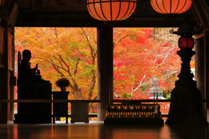 12 Spots that Show Off Nara's Fabulous Fall Foliage 