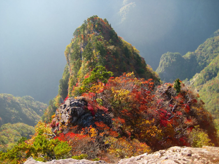 12 Spots that Show Off Nara's Fabulous Fall Foliage 