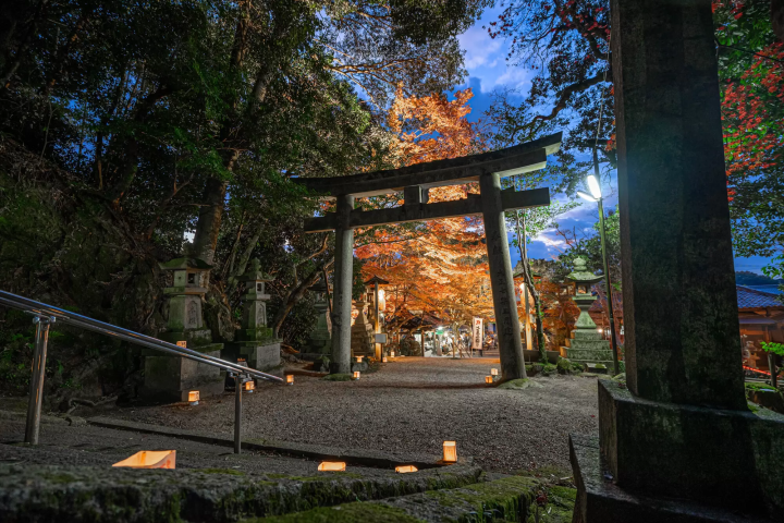 12 Spots that Show Off Nara's Fabulous Fall Foliage 