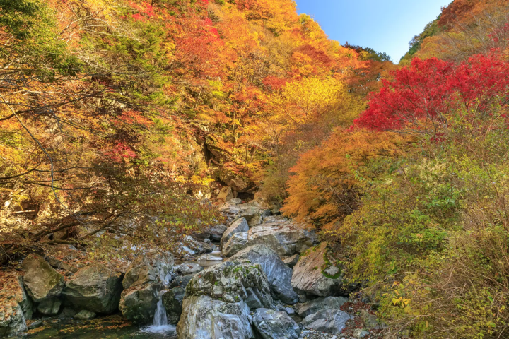 12 Spots that Show Off Nara's Fabulous Fall Foliage 