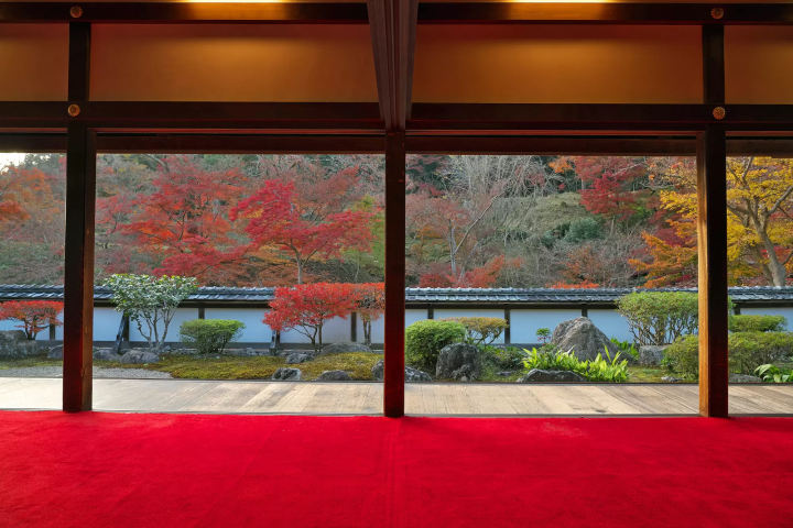 12 Spots that Show Off Nara's Fabulous Fall Foliage 