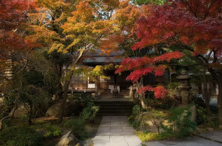 Kamakura's Top 6 Fall Foliage Spots in 2024: Temples, Parks, and More!
