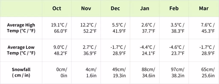 東北の冬を楽しむなら必見！米沢での雪対策と快適な過ごし方完全ガイド