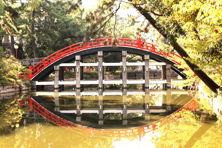 [From Eeyan ! Osaka Shopping Street] Walking alongside prayers to the gods since ancient times, the breath of history and tradition that reflects the Japanese spirit