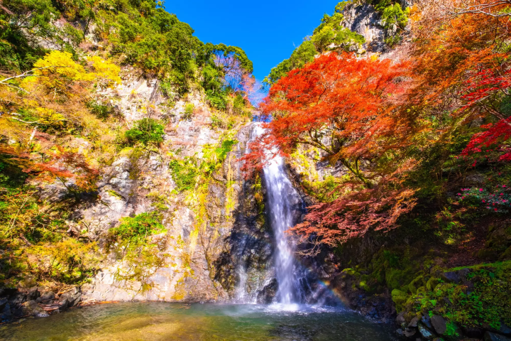 Top 8 Autumn Foliage Tours in Japan: Mt. Fuji, Hokkaido, and More