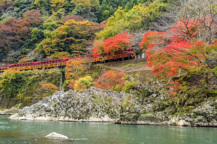 Top 8 Autumn Foliage Tours in Japan: Mt. Fuji, Hokkaido, and More