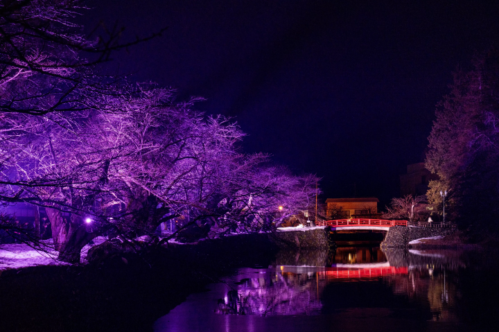 Enjoy the Enchanting Snow Lantern Festival, the Largest Winter Event in Tohoku!