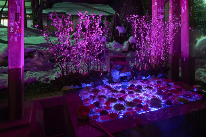 Enjoy the Enchanting Snow Lantern Festival, the Largest Winter Event in Tohoku!