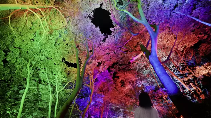 住在 teamLab作品裡頭！？ 茨城「五浦幽谷隱田跡溫泉」 奢華露營設施將於9月30日(開幕！