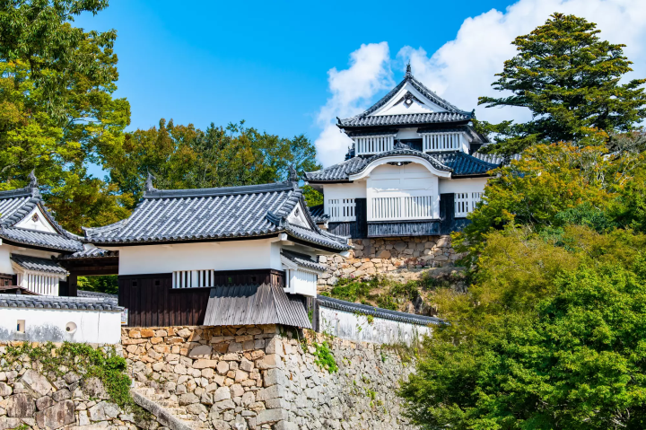 Matsuyama Castle