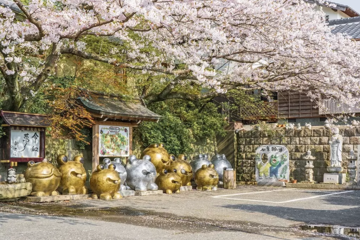 Sacred Animals In Japan - See Japan's Religion Through Its Animals