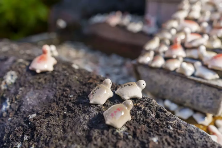 Sacred Animals In Japan - See Japan's Religion Through Its Animals