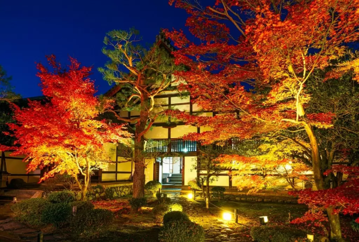 Kyoto Rokuo-in Temple: Autumn Leave Illuminations Near Arashiyama Bamboo Forest! 2024