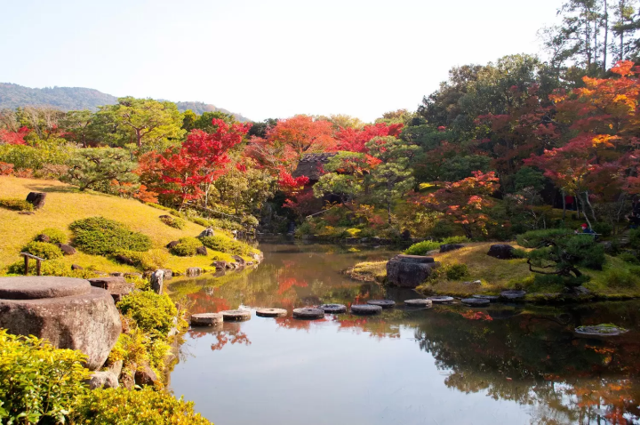 Nara: The Most Beautiful 12 Autumn Foliage Spots in 2024