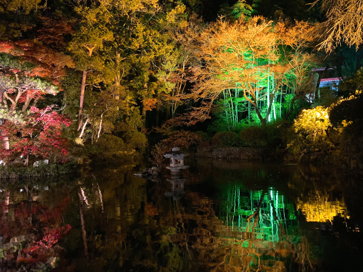 【2024最新】東京出發, 可輕鬆前往的7個推薦紅葉景點！