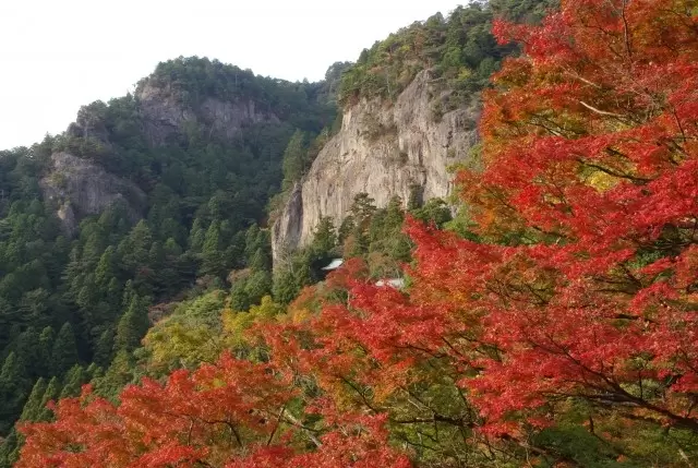 【ใบไม้เปลี่ยนสีปี 2025】แฟนจิบลิห้ามพลาด!สนุกไปกับโลกของจิบลิและใบไม้เปลี่ยนสี!