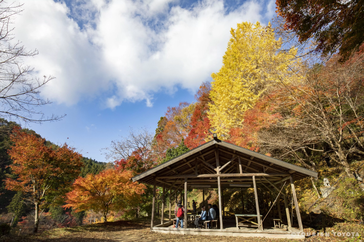 【ใบไม้เปลี่ยนสีปี 2025】แฟนจิบลิห้ามพลาด!สนุกไปกับโลกของจิบลิและใบไม้เปลี่ยนสี!