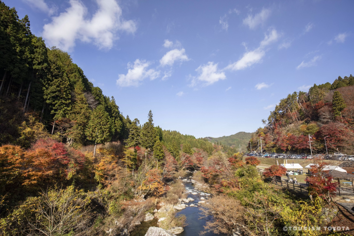 【ใบไม้เปลี่ยนสีปี 2025】แฟนจิบลิห้ามพลาด!สนุกไปกับโลกของจิบลิและใบไม้เปลี่ยนสี!