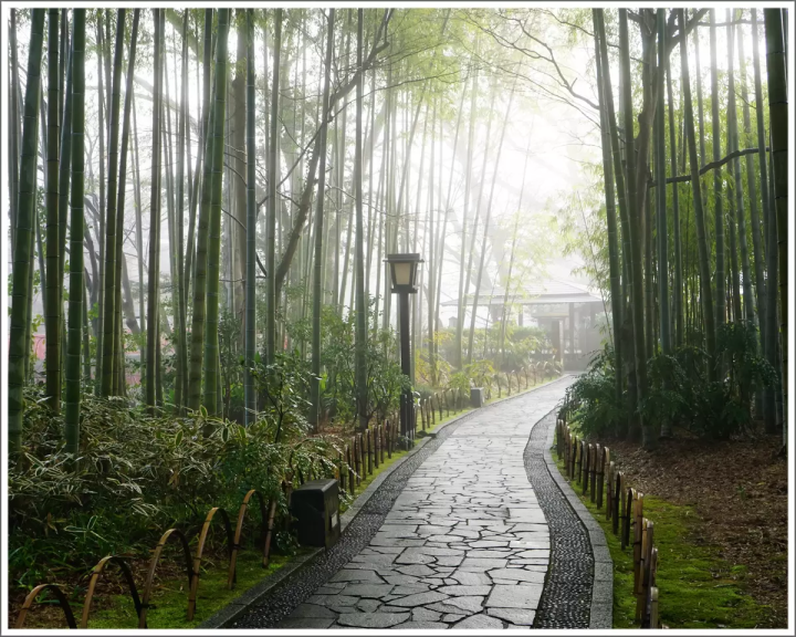 【나카이즈 지역(이즈시·이즈노쿠니시)】이즈의 자랑 푸딩 3선