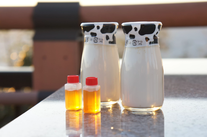 【나카이즈 지역(이즈시·이즈노쿠니시)】이즈의 자랑 푸딩 3선