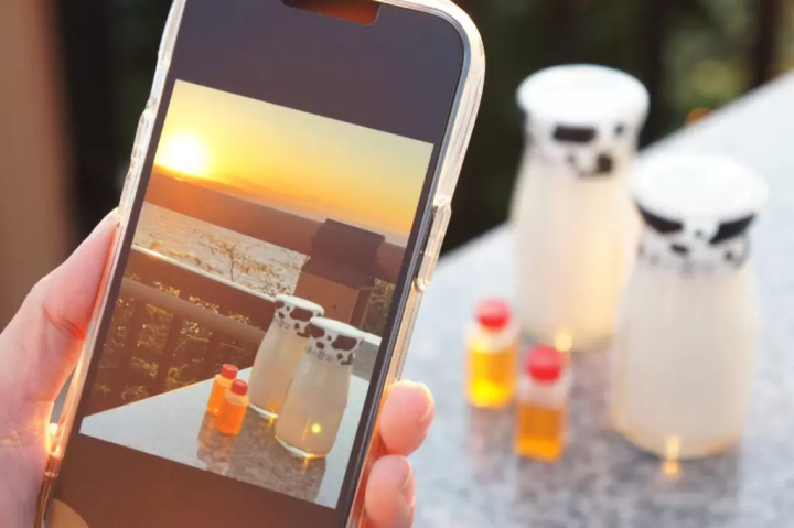 【나카이즈 지역(이즈시·이즈노쿠니시)】이즈의 자랑 푸딩 3선