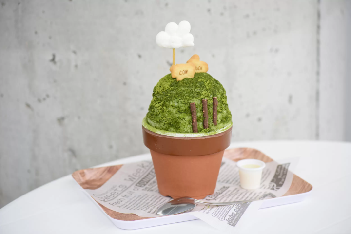 ชาชิซึโอกะ x น้ำแข็งไส = 7 เมนูแนะนำ “ชาน้ำแข็ง”