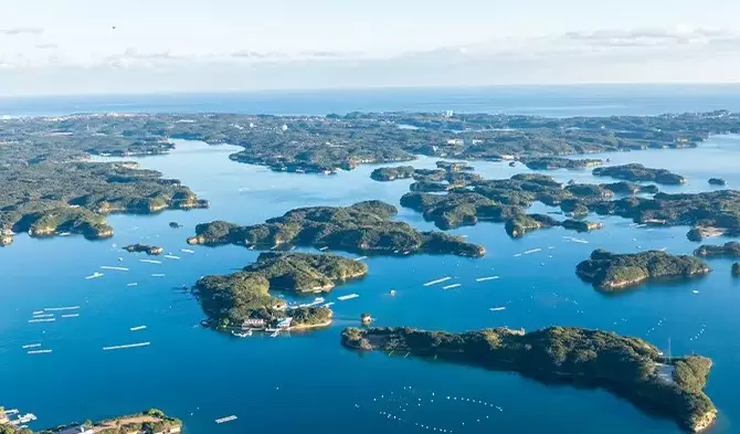 您可以从大阪、京都和名古屋乘坐精彩的游轮！一边欣赏美丽的里亚斯海岸线，一边优雅地航行“鹿岛西班牙游轮”