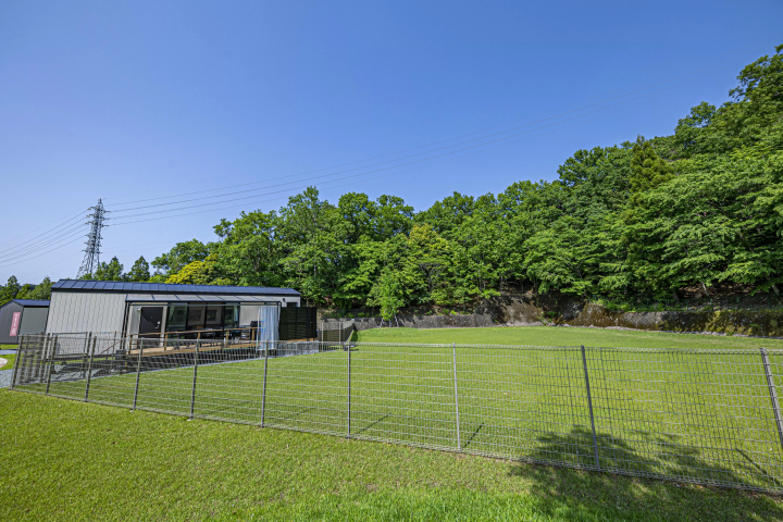 애견과 함께 즐기는 호화로운 솔로그 램핑 체험! 특별한 시간을 애견과 함께