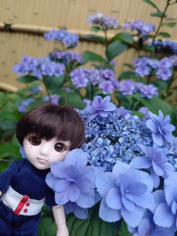 ยินดีต้อนรับกลับมานะ เรย์ไทไซ! ศาลเจ้า Nakano Numabukuro Hikawa ในโตเกียวเต็มไปด้วยสิ่งต่างๆ มากมายให้ดู