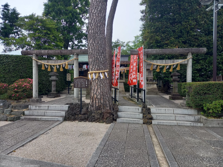 ยินดีต้อนรับกลับมานะ เรย์ไทไซ! ศาลเจ้า Nakano Numabukuro Hikawa ในโตเกียวเต็มไปด้วยสิ่งต่างๆ มากมายให้ดู