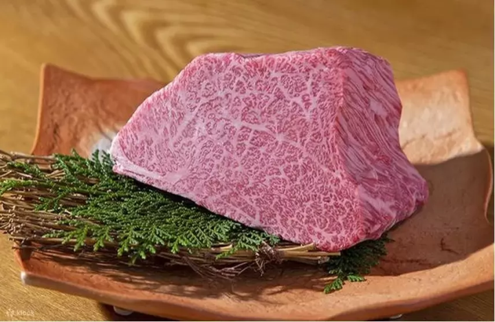 15 Excellent Osaka Restaurants With English Booking