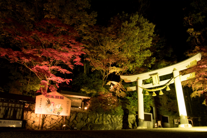 【2024年秋季】【2024秋季】以豪華晚餐款待您！為您介紹在日式庭園的獨立房間裡品味秋天美味的旅遊！