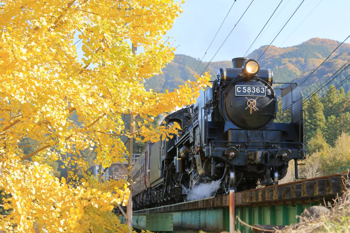 【2024秋季】不要錯過這個隱藏的寶石！為您介紹從白天到晚上可以盡情享受埼玉･長瀞的旅遊！