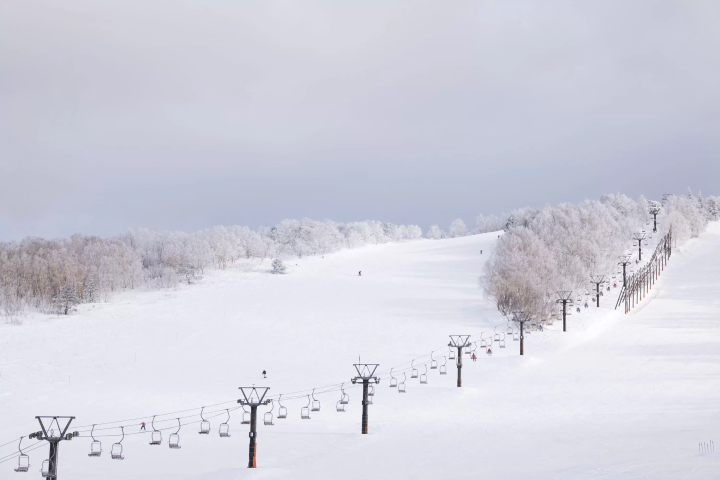 在米澤的「天元台高原滑雪場」，您可以享受冬季運動直到春天！