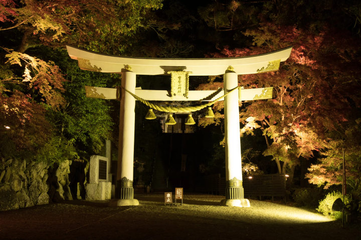 【2024秋季】不要錯過這個隱藏的寶石！為您介紹從白天到晚上可以盡情享受埼玉･長瀞的旅遊！