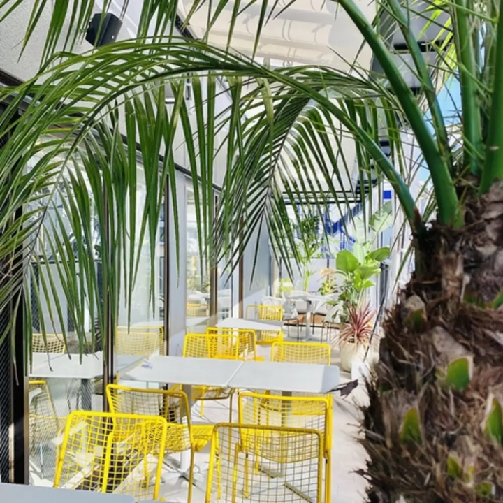 梅田のカフェ10選! インスタ映えから韓国風までおしゃれスポットをご紹介