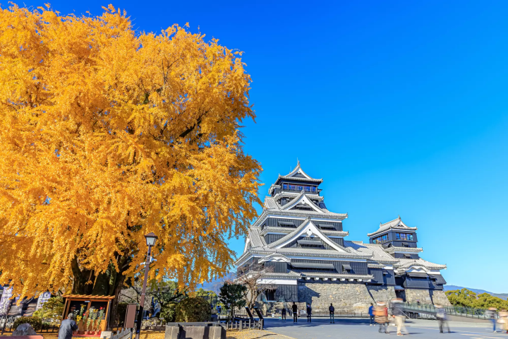 สภาพอากาศที่คุมะโมโตะ