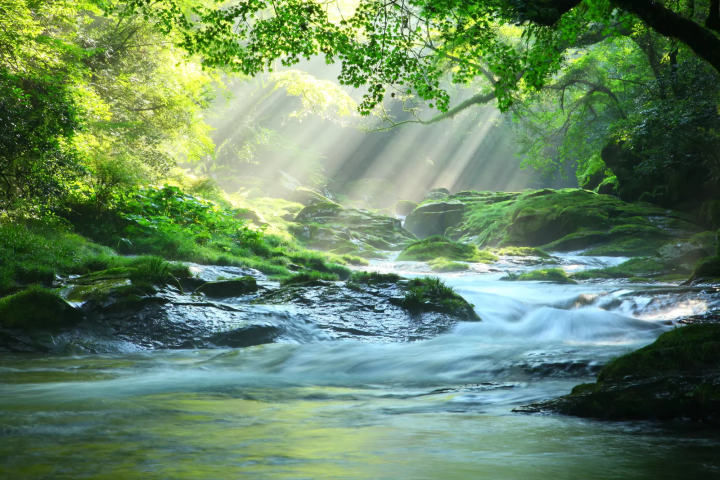 คำอธิบายเกี่ยวกับสภาพอากาศที่คุมะโมโตะ! ลักษณะตามฤดูกาลและสถานที่ท่องเที่ยวที่ดีที่สุด