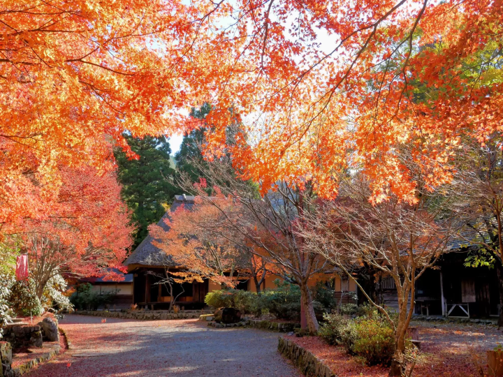 คำอธิบายเกี่ยวกับสภาพอากาศที่คุมะโมโตะ! ลักษณะตามฤดูกาลและสถานที่ท่องเที่ยวที่ดีที่สุด