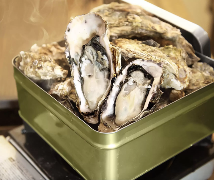 【2024年11月】扇貝、黑喉魚，還有多少！在東京台場品嚐來自全國各地的美味海鮮！