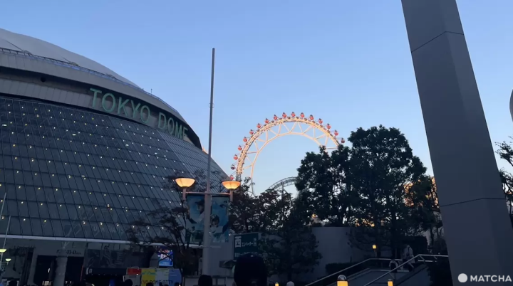 【2024東京巨蛋必備攻略】支持中華隊!世界十二強棒球賽感受日本球場魅力