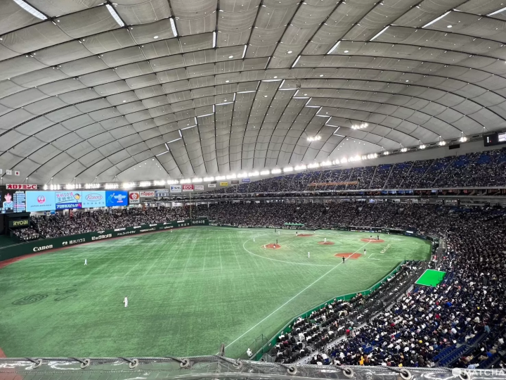 【2024東京巨蛋必備攻略】支持中華隊!世界十二強棒球賽感受日本球場魅力