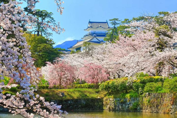 【2024最新】小田原精選景點！交通、景點、觀光示範路線一次看