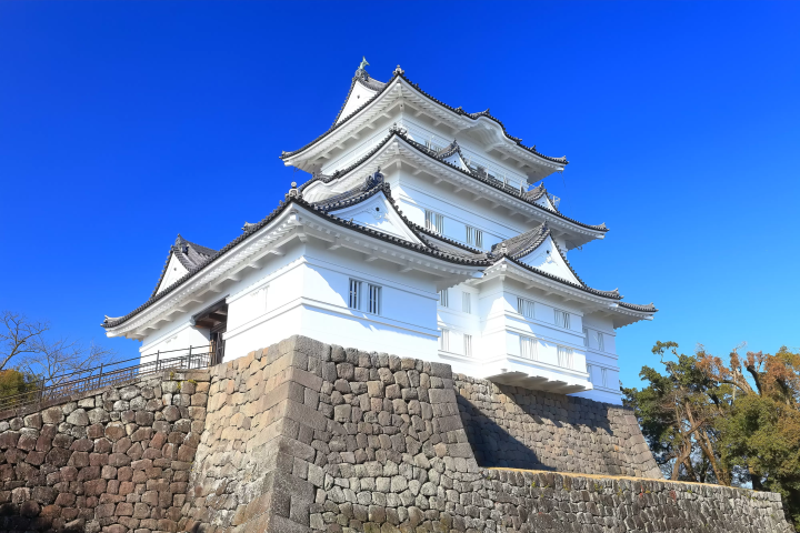 【2024最新】小田原精選景點！交通、景點、觀光示範路線一次看