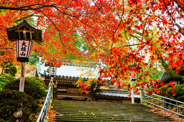 【2024最新】小田原精選景點！交通、景點、觀光示範路線一次看