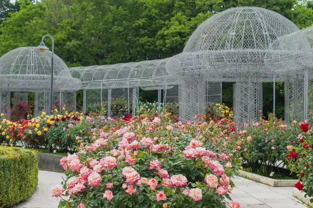 【2024最新】小田原精選景點！交通、景點、觀光示範路線一次看