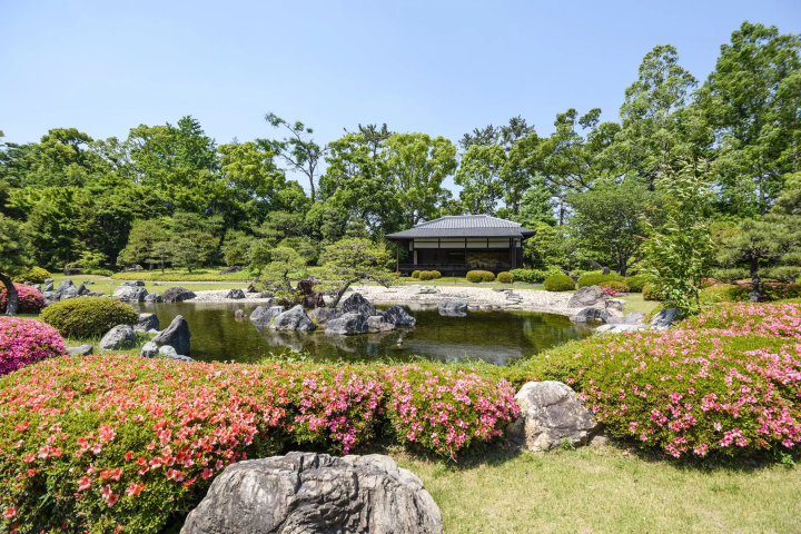 【世界遺產】深入淺出探索京都二條城的歷史脈絡！揭開外國遊客必訪的秘密！